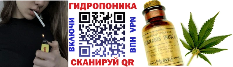 Шишки марихуана тримм  Купить закладки  Богучар 